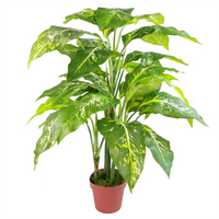 Artificial Plant Fox AglaonemaTree | Realistic 100cm Tall Replica Plant