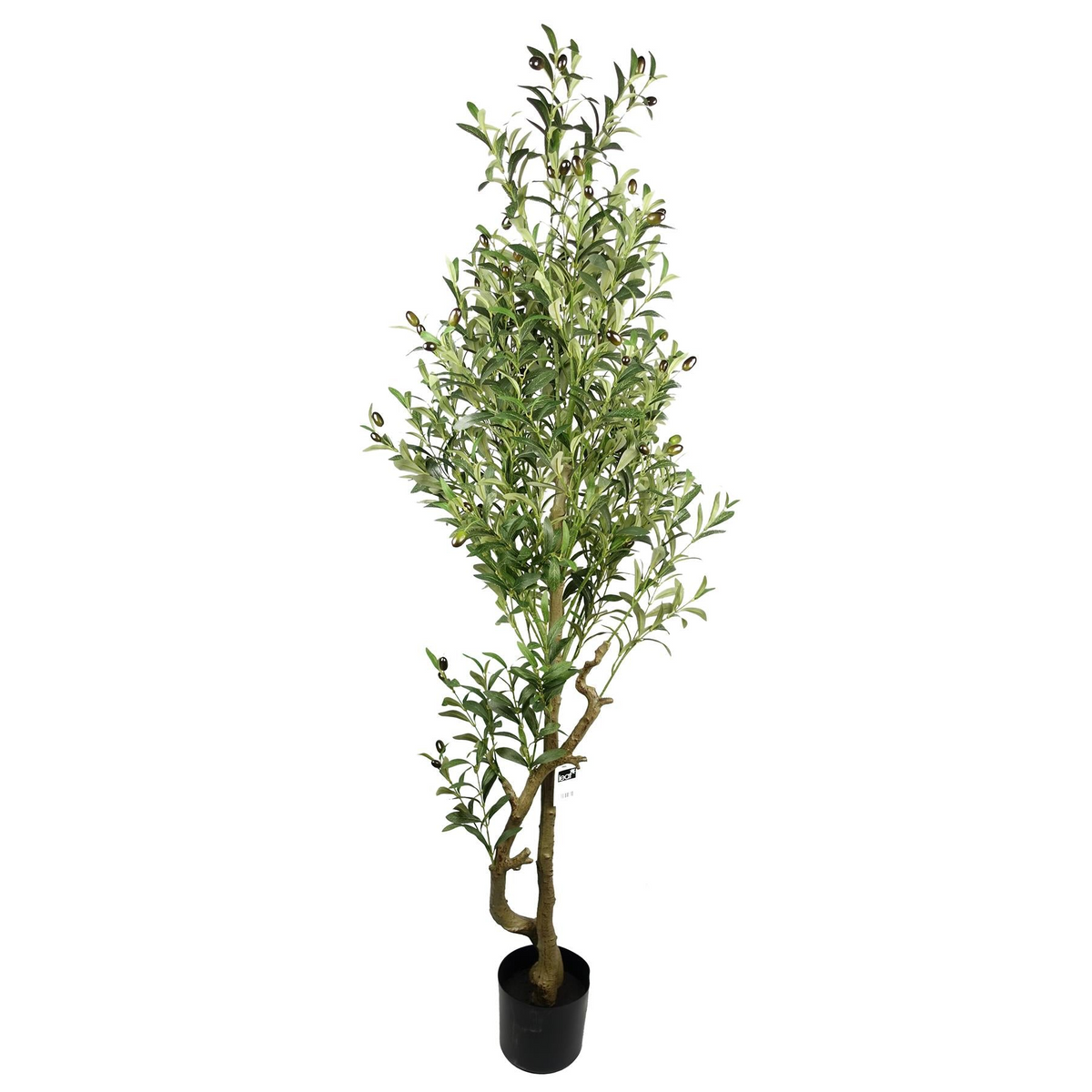 Artificial Olive Tree 5.5ft Tall | Realistic Premium Quality | Easy to Maintain | Leaf Design UK