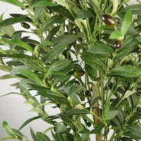 Artificial Olive Tree 5.5ft Tall | Realistic Premium Quality | Easy to Maintain | Leaf Design UK