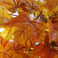 Artificial Tree Large Orange Maple Autumn 125cm - Realistic Foliage for Offices or Home Use