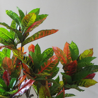 Artificial Tree 130cm Bright Modern - Realistic Variegated Croton Plant | Leaf Design UK