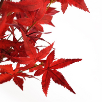 Artificial Red Maple Tree 120cm - Realistic Leaf Design | Leaf Design UK