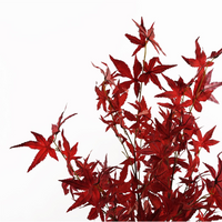 Artificial Red Maple Tree 120cm - Realistic Leaf Design | Leaf Design UK