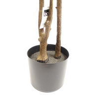 Buy Artificial Tree Codiaeum Tropical Large - Premium Quality Plant | Shop Now