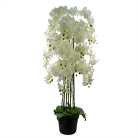 Giant White Orchid Plant - Artificial - 189 Real Touch Flowers