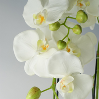 Giant White Orchid Plant - Artificial - 189 Real Touch Flowers