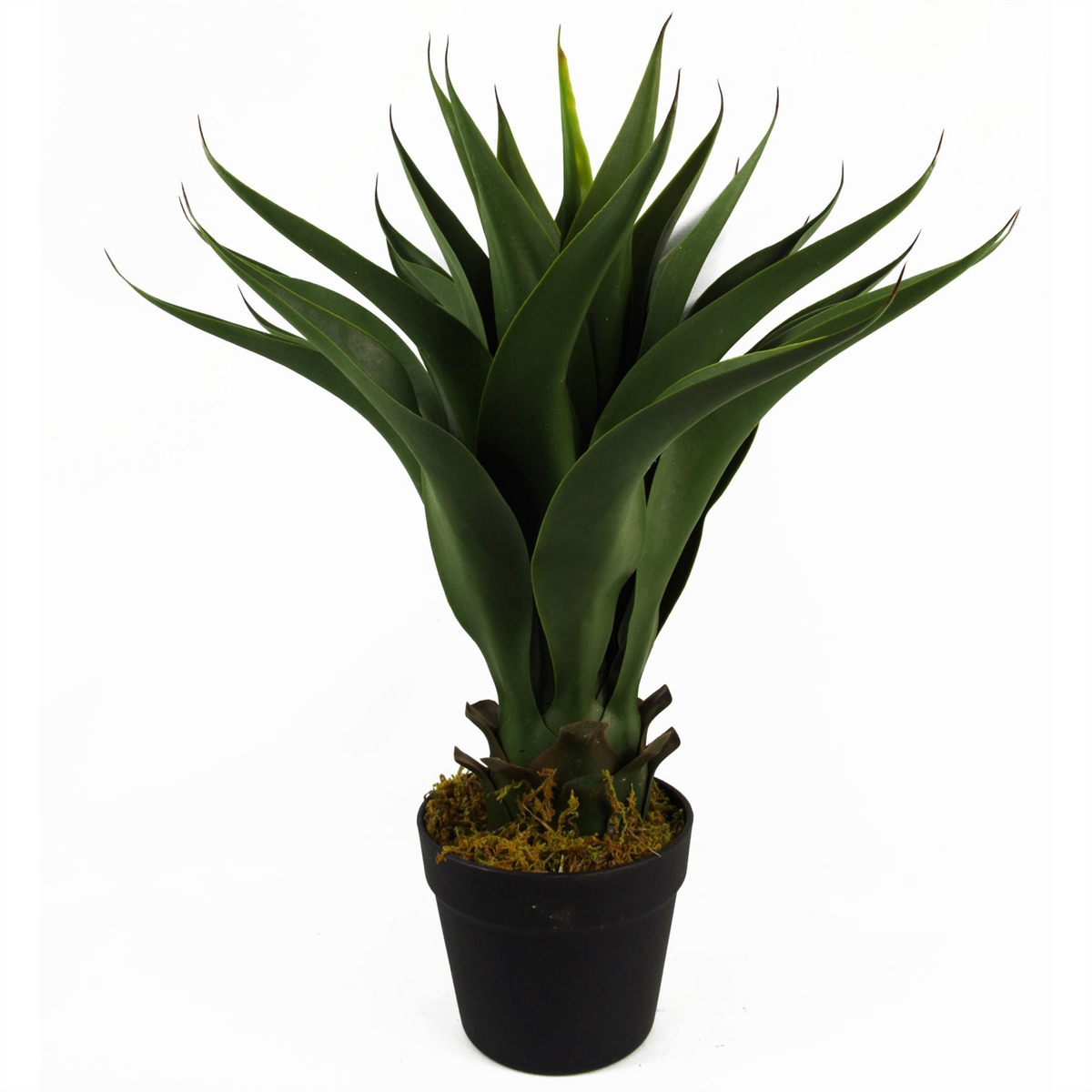 Artificial Yukka Tropical Plant in Plastic Pot - 55cm Height