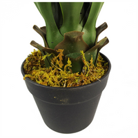 Artificial Yukka Tropical Plant in Plastic Pot - 55cm Height