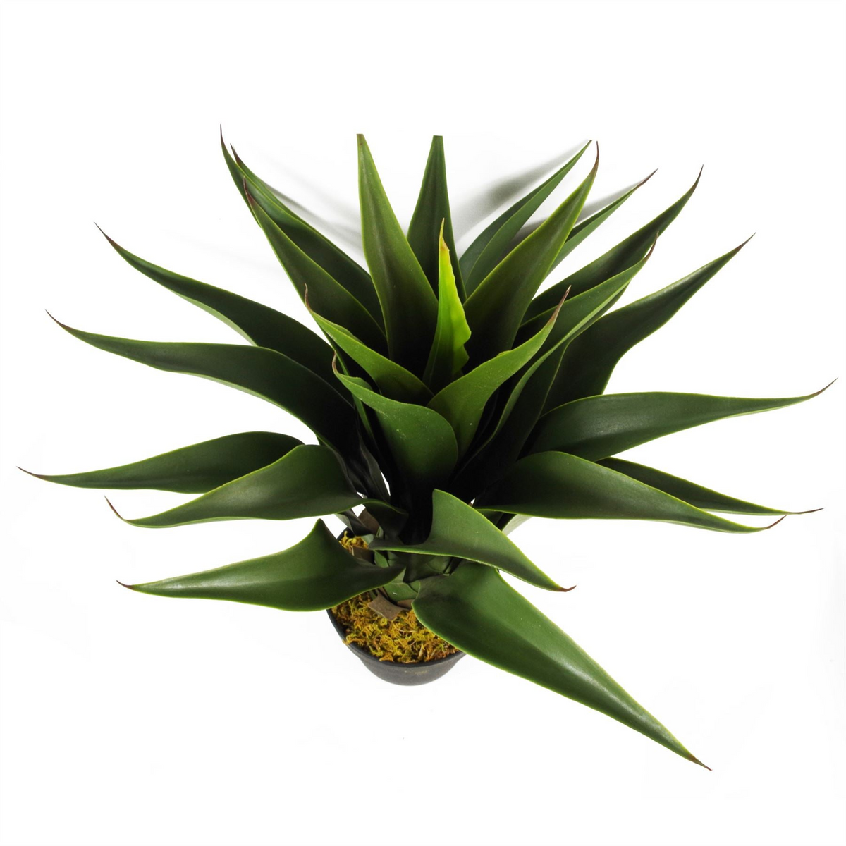 Artificial Yukka Tropical Plant in Plastic Pot - 55cm Height