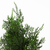 Cypress Topiary Tree Artificial 90cm Plant | Realistic Foliage | Indoor/Outdoor Use