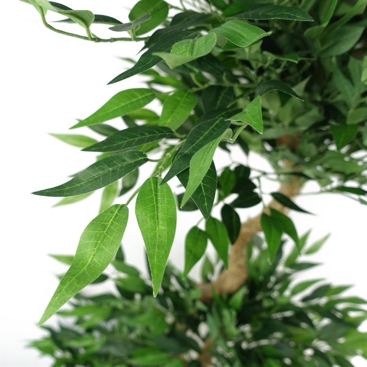 Japanese ARTIFICIAL TREE XL Fruticosa Ficus Tree Plastic Pot 160cm - Lifelike Replica Tree