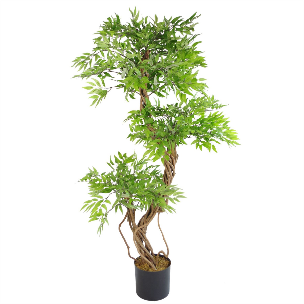 Artificial Tree Japanese Fruticosa Ficus Tree Plastic Pot 140cm - Realistic and Botanically Accurate | Leaf Design UK