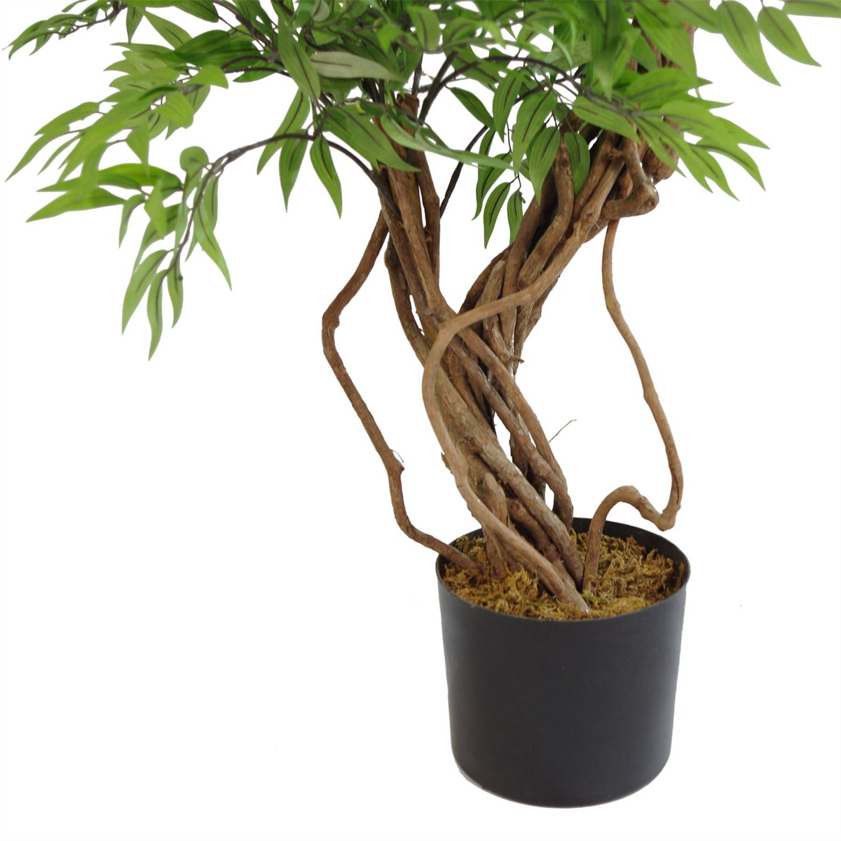 Artificial Tree Japanese Fruticosa Ficus Tree Plastic Pot 140cm - Realistic and Botanically Accurate | Leaf Design UK