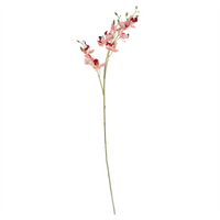 Leaf 65cm Mixed Wild Orchid and Ferns Glass Vase - Stunning Artificial Flower Arrangement