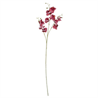 Leaf 65cm Mixed Wild Orchid and Ferns Glass Vase - Stunning Artificial Flower Arrangement