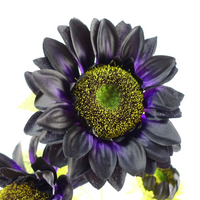 Leaf 100cm Purple Artificial Sunflower Arrangement Glass Vase - Beautiful Home Decor