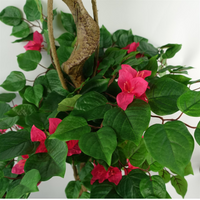 Large Japanese Artificial Tree Silk Bougainvillea - Realistic Replica, Low Maintenance, 150cm Tall