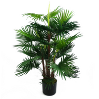 Captivating Leaf Design 90cm Fan Palm Artificial Tree | Realistic Look