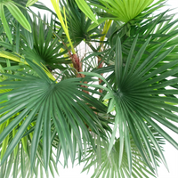 Captivating Leaf Design 90cm Fan Palm Artificial Tree | Realistic Look