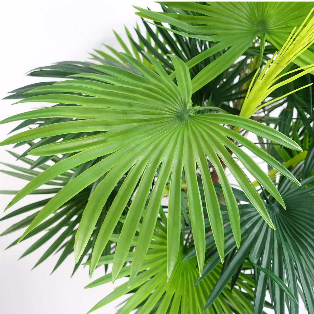 Captivating Leaf Design 90cm Fan Palm Artificial Tree | Realistic Look