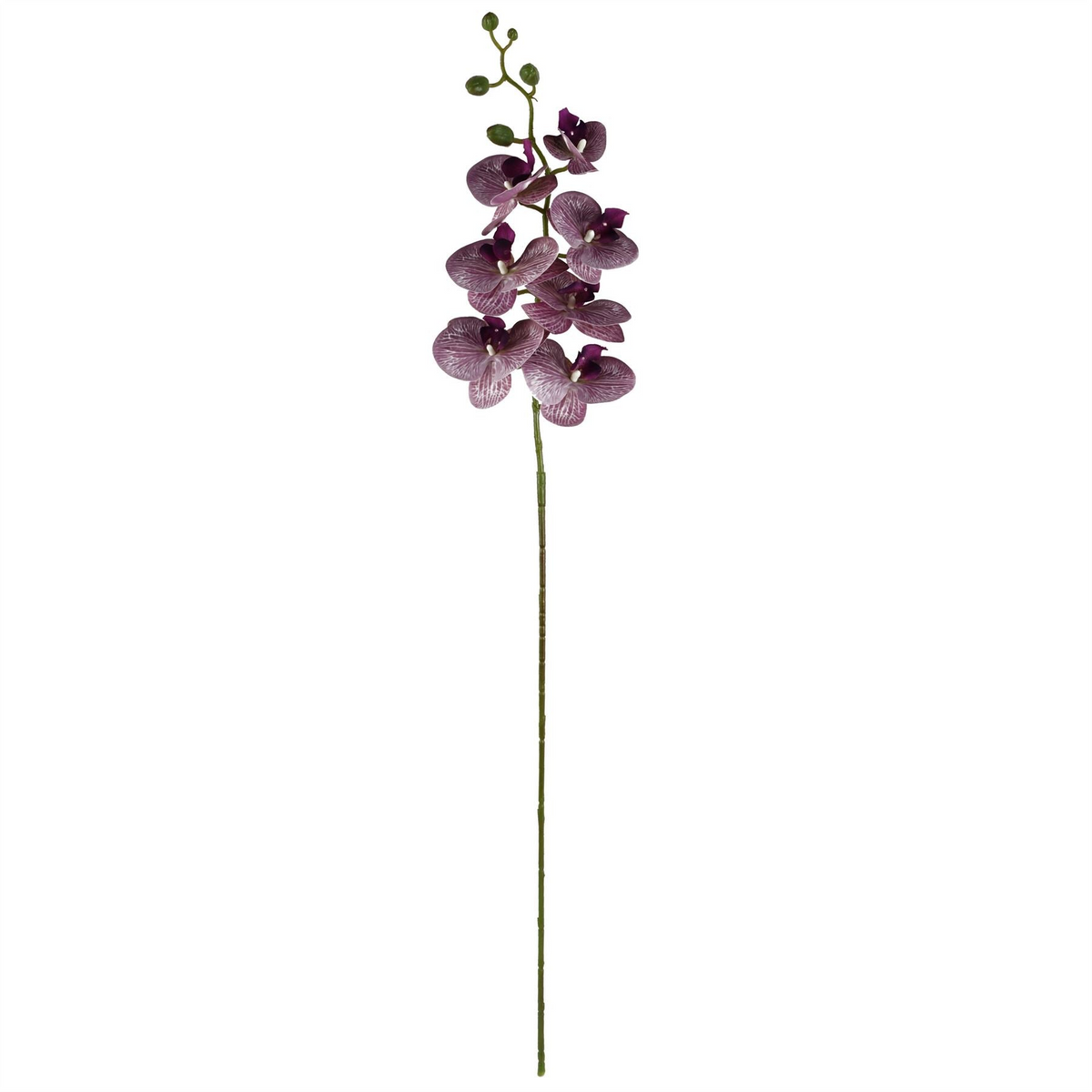 Leaf 80cm Amethyst Vase Artificial Orchids and Foliage