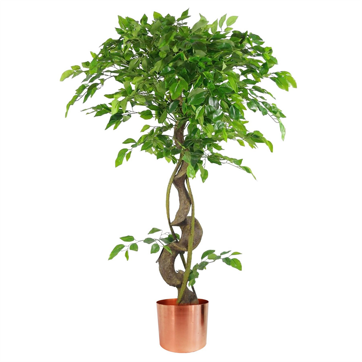 Artificial Japanese Fruticosa Ficus Tree Copper 120cm - Premium Quality, Realistic Design