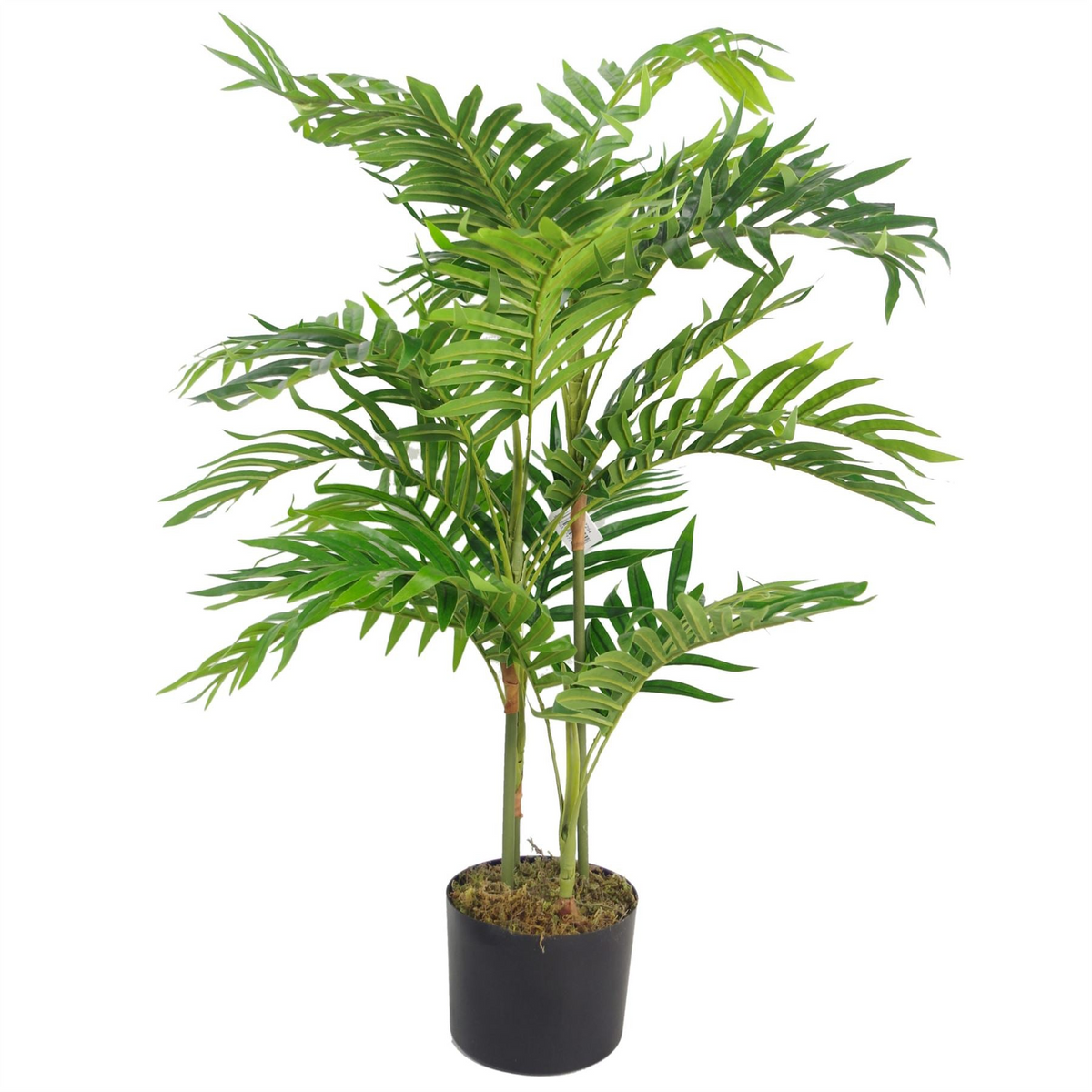 Large Artificial Palm Tree 80cm Mini Plants - Tropical Paradise for Your Home