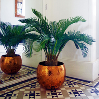 Palm Tree Artificial Cycas 80cm - Lifelike Tropical Plant for Modern Interiors