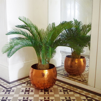 Palm Tree Artificial Cycas 80cm - Lifelike Tropical Plant for Modern Interiors