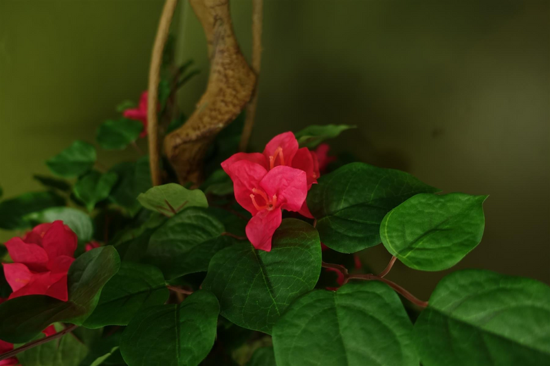 Pink Artificial Silk Tree Blossom Bougainvillea Japanese Tree - Lifelike Reproduction with Delicate Flowers