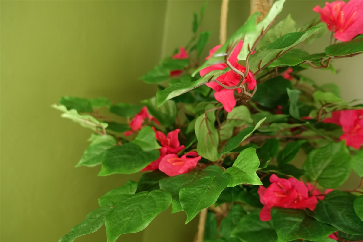 Pink Artificial Silk Tree Blossom Bougainvillea Japanese Tree - Lifelike Reproduction with Delicate Flowers