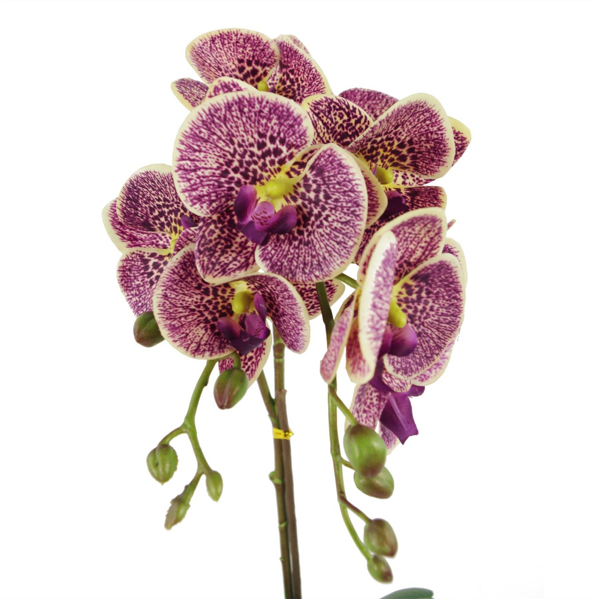 Orchid Artificial Purple Leopard Gold Pot 50cm Phalaenopsis - Realistic and Elegant