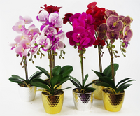 Orchid Artificial Purple Leopard Gold Pot 50cm Phalaenopsis - Realistic and Elegant