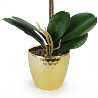 Orchid Artificial Purple Leopard Gold Pot 50cm Phalaenopsis - Realistic and Elegant