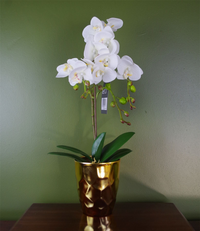 White Artificial Orchid Plant Gold Pot 54cm - Lifelike Floral Display