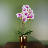 Pink Orchid Artificial Gold Pot 48cm Harlequin - Realistic Artificial Orchid Plant with Real Touch Leaves