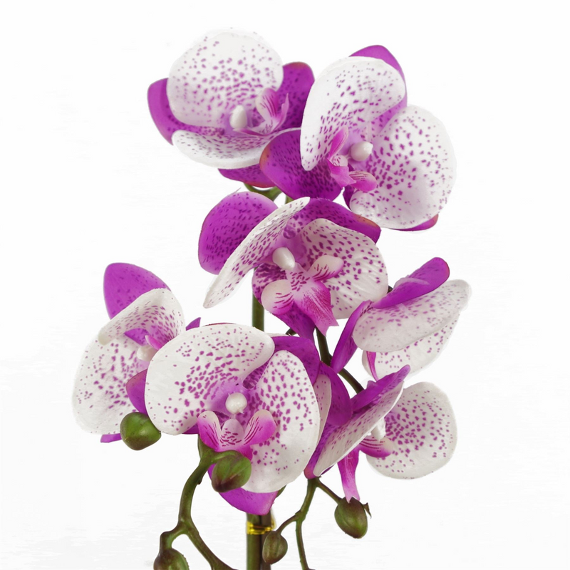 Orchid Artificial Purple White 50cm Gold Pot Phalaenopsis - Realistic Design for Elegant Home Decor