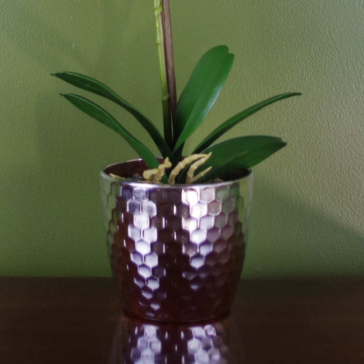 Pink Orchid Artificial Silver Pot 50cm Real Touch | Elegant Home Decor