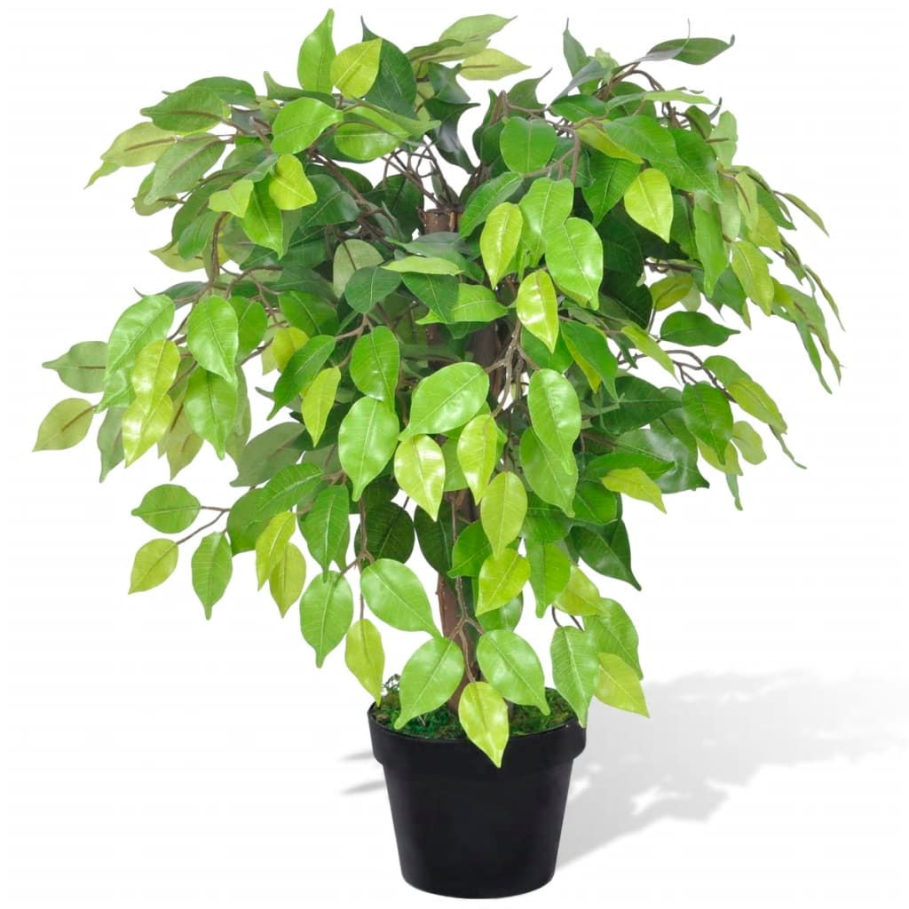 Artificial Dwarf Ficus with Pot 60 cm - Lifelike Decorative Plant