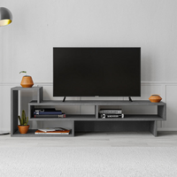 TV Stand LANDAU Grey - Stylish and Functional TV Stand | Free Shipping