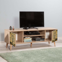 Modern TV Stand ANKARA Sonoma - Stylish Design, Durable Construction